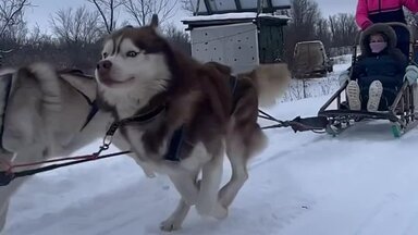 О себе