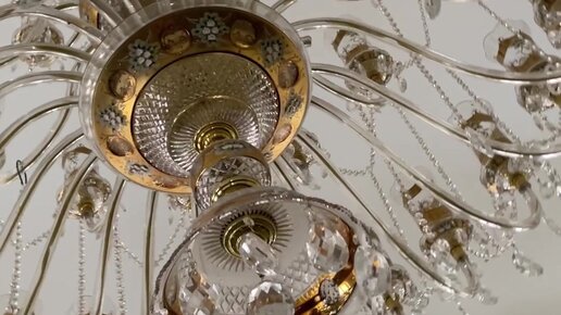 Шырынды есектердің порно видеолары