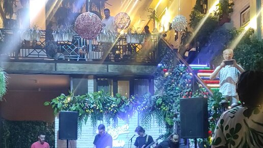 Ayollar mushuklarining yaqindan olingan videolari