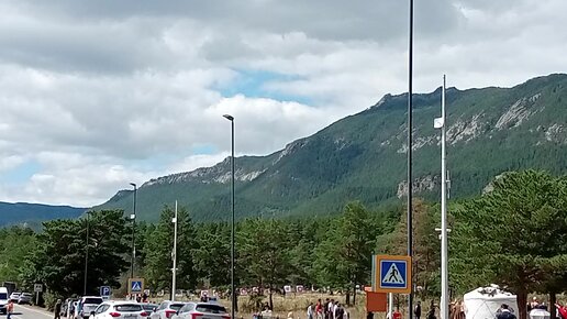 Олар өлі балапанды сиқырлайды