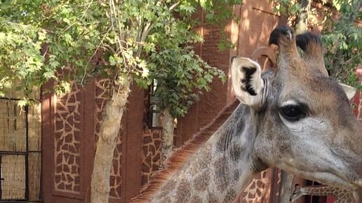 Kol bilan vaginal porno tomosha qiling