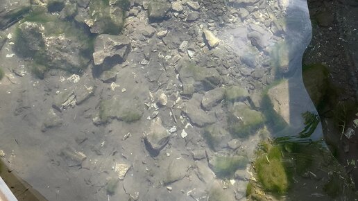 Кировоградта секс үшін қыздар