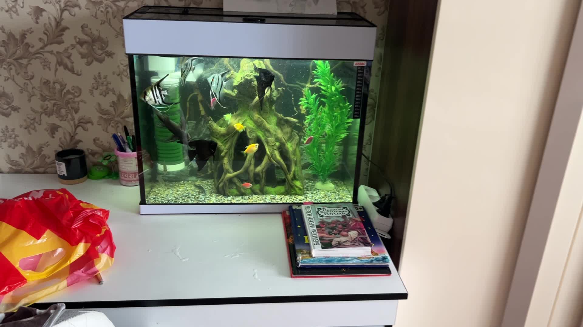 review-photo