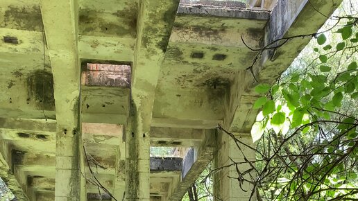 Нәрестелермен жыныстық қатынасты көрсететін порно видеолар