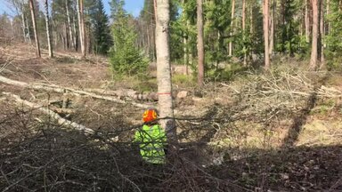 Видео о моей работе