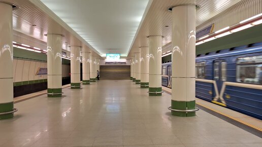 Ылғал түкті қынаптар