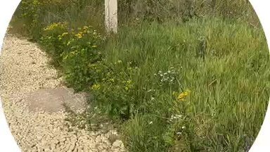 Вынос границ земельного участка
