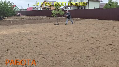 Посев газона