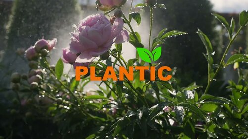 Умное решение