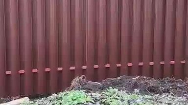 комбинированный забор из евроштакетника с распашными воротами и двумя калитками
