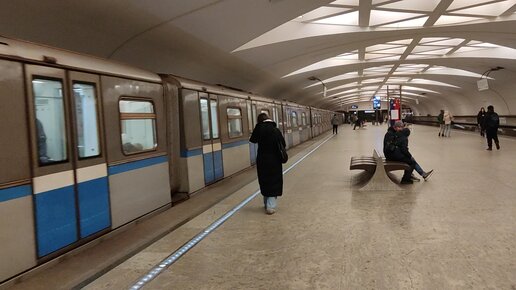 Kattalar uchun jinsiy aloqa