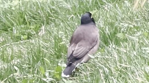 Volochkovaning sevgilisi ozlarining samimiy uchrashuvini Internetda joylashtirdi.