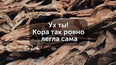 Кора лиственницы крупной фракции