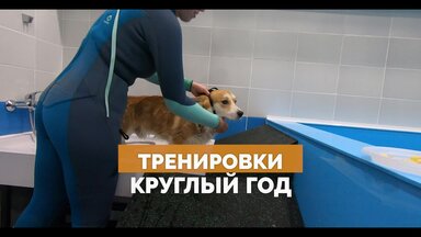О себе