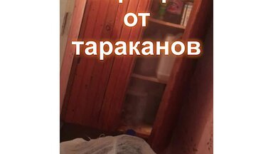обработка от тараканов