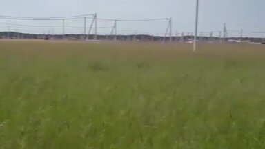 Вынос границ земельного участка на местности