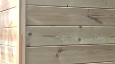 Строительство