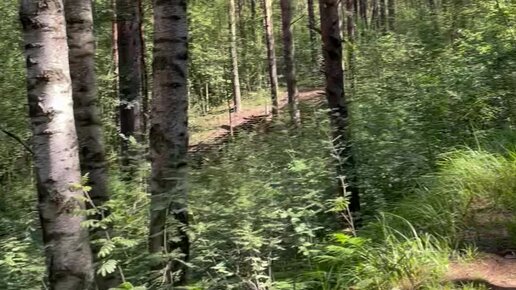 Kozlari yopiq holda emish