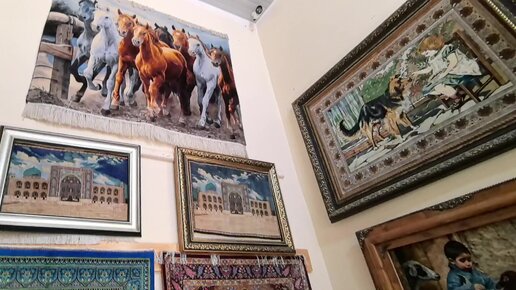 Mushukning super fotosuratlari