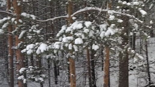 Моншада апаймен жыныстық қатынас