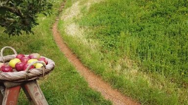 Фрагмент фильма о путешествии по Новой Зеландии с севера на юг.