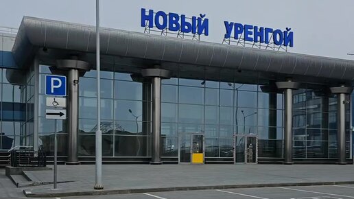 Сұлу Мэдисон Айвиден минет