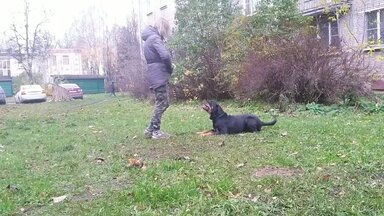 О себе