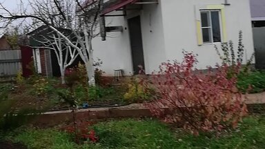 Подготовка сада к зиме