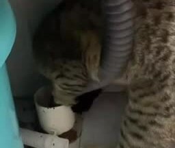 Устранение засора