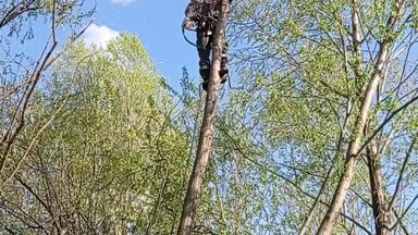 О себе