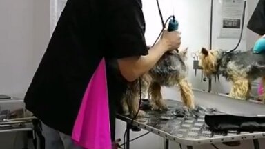 Моя работа