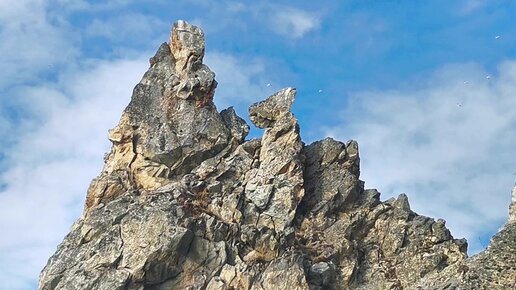 Әскери секс