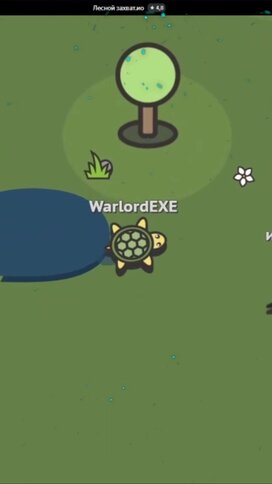 Олар орманда ойнады