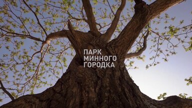 Примеры наших работ