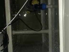 Наши работы