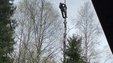 О себе
