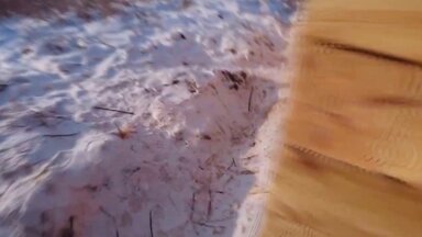 Строительство дома из бруса