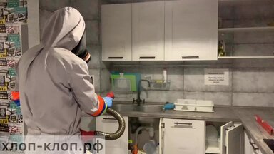 Уничтожение тараканов, обработка от тараканов  в Екатеринбурге