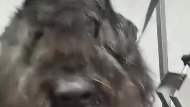 О себе