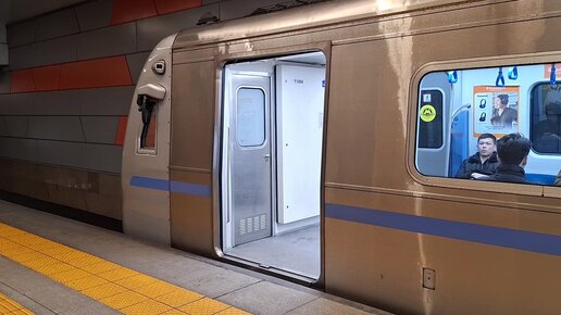 REN TV эротика мұрағаты