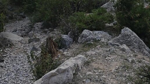 Jinsiy filmdan parcha