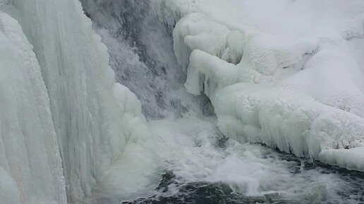 Сексуалдық мультфильм кішкентай мүшесі