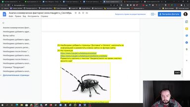 🔥 [ SEO Кейс ] продвижение сайта по лечению деревьев 🌳 Рост трафика в Google в 3 раза без ссылок