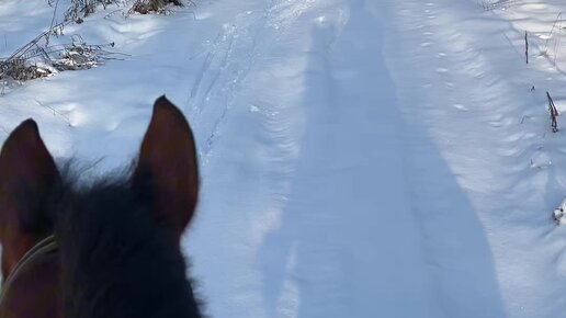 Қатты саусақ