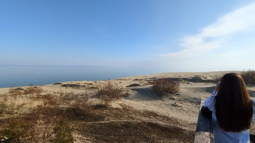 Высота Эфа, смотровая площадка, Калининградская область, Зеленоградский  муниципальный округ, Национальный парк Куршская коса, пешеходный  экологический маршрут Высота Эфа — Яндекс Карты