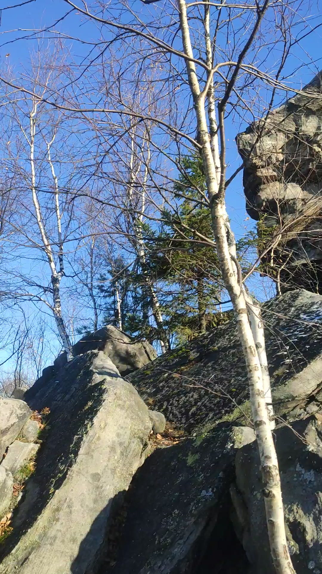 Toshakda jinsiy aloqa kameraga olingan