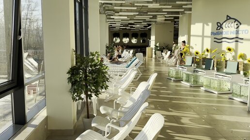 Кәрі ханымдарға арналған видео