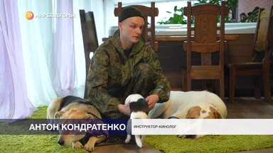 Немного из работы кинолога)