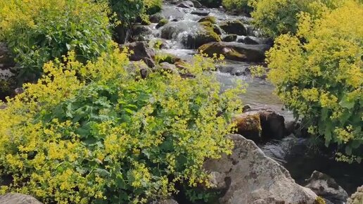 Onlayn pornodagi eng yosh qizlarni tomosha qiling