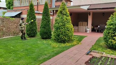 Стрижка вертикальных туй в Самаре